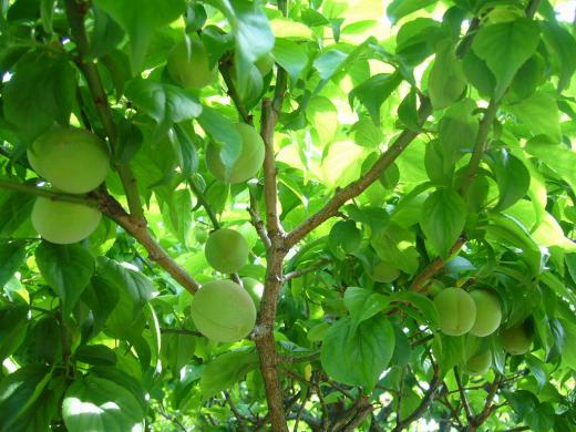 感動の涙かな!/