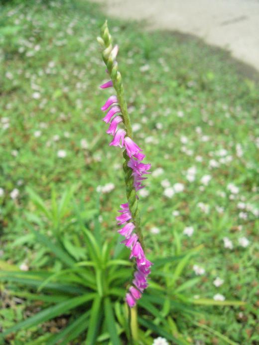 休む暇なしですね〜!/