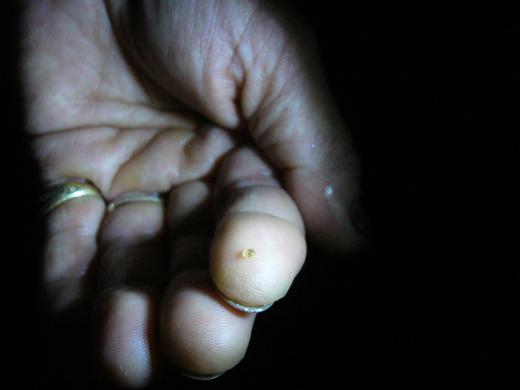 その通りやと、思いま〜す!/