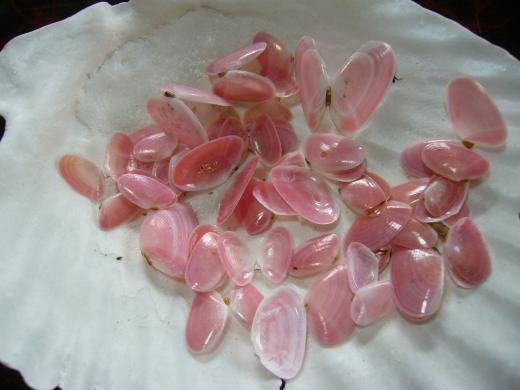 裏日本・表日本・・・?/