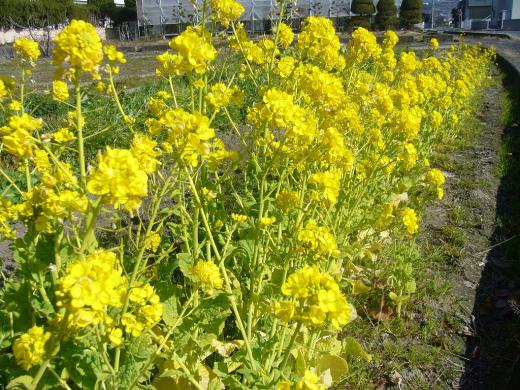 ずいぶん前にネ〜!/