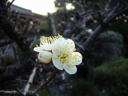 マイナス10度 !/