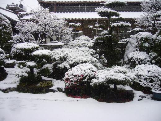 讃岐 三野町にも大雪です!/