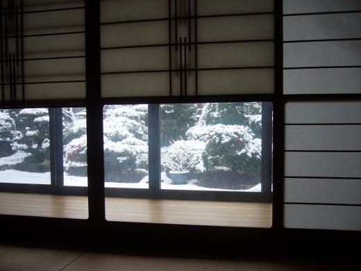 雪と菜の花と梅と桜が一緒に、なんですね!/