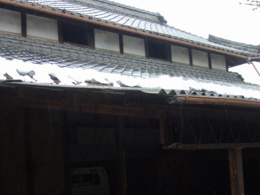 稲嶺氏が当選して・・・!/