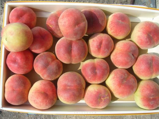 自然と同居は・・・・・ねぇ〜!/