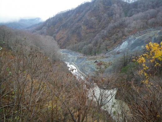 Ê¿À®23ǯÅÙ<br>ÂùÂôÃ϶èÀ°È÷¹©»ö¡Ê¾±ÆâĮΩëÂôÃÏÆâ¡Ë/