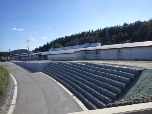 Ê¿À®29ǯÅÙ<br>¸ÍÂôÃ϶èË¡Ì̹©»ö¡Ê¸ÍÂô¼¢²¬ÃÏÆâ¡Ë/