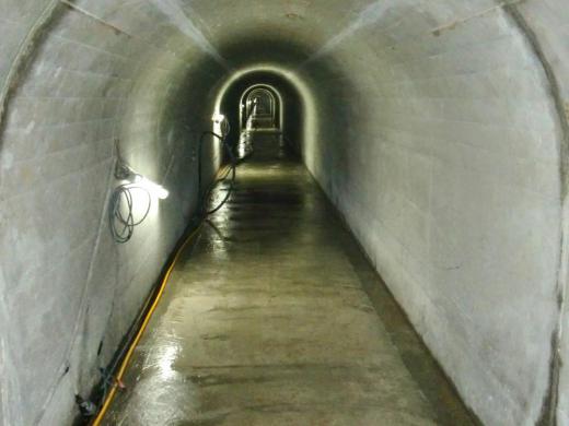 Ê¿À®26ǯÅÙ<br>ÀÖ¾¾3´üÃ϶褿¤áÃÓÅùÀ°È÷»ö¶ÈÂè1¹©¶è¹©»ö¡ÊÂ碼Âç»úÀÖ¾¾ÃÏÆâ¡Ë/