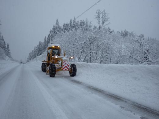 ÎáÏÂ2ǯÅÙ<br>H30-31¿·¾±¹ñÆ»À¾Ã϶è°Ý»ýÊ佤¹©»ö/