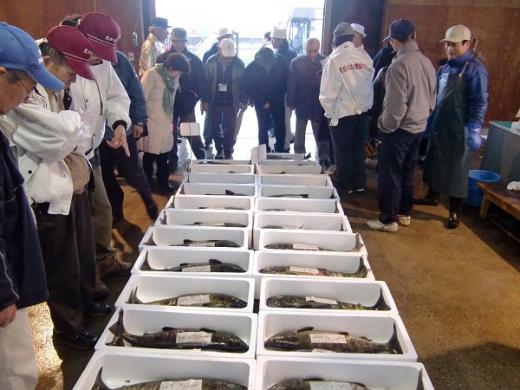 ºú¡¦¤µ¤±¡¦¥µ¥±/