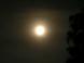 満月山羊座とフラワーエッセンス（ミムラス）：2012/07/05 20:43