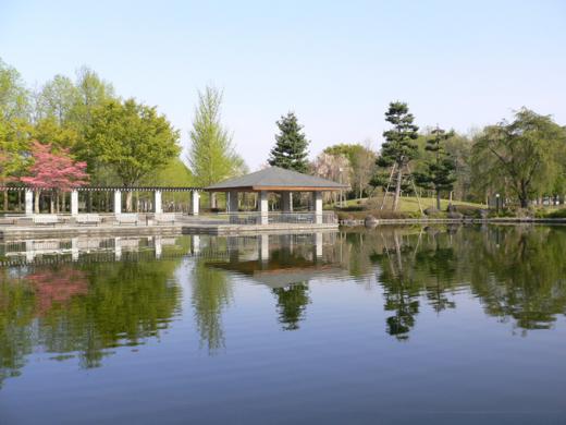 5日ぶり --comment/