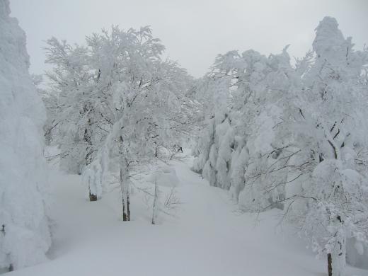 お元気そうでしたね。/