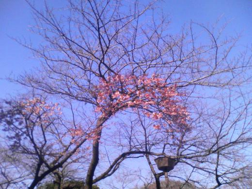 弱ってましたか/