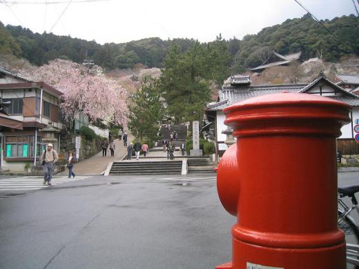 サイクリング、脚力は大丈夫かな?/