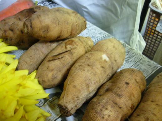 ダリヤの球根を食べる/