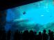 仙台うみの杜水族館 :2015/09/18 12:05