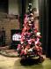 X’mas tree☆in My Home:2011/12/14 12:53