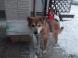 工務部の水戸です:2013/01/26 17:00