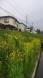 大工の渋谷(俊)です。:2013/04/30 11:04
