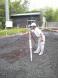 ハアイ、こんにちはです。:2013/06/04 08:00