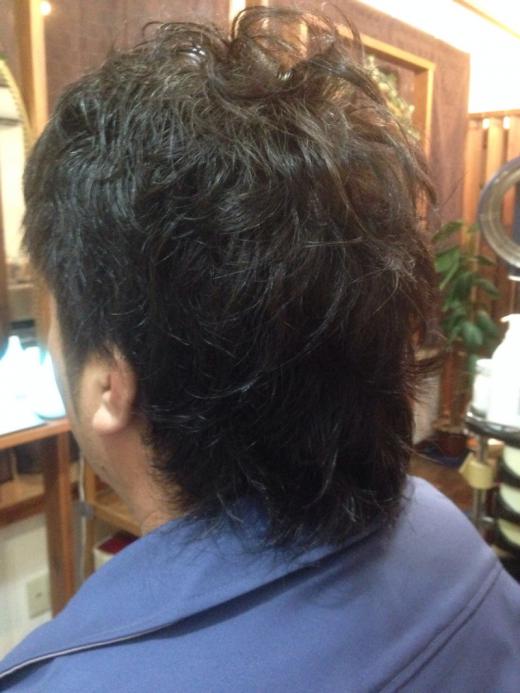 白髪もバッチリ染まりました♪/