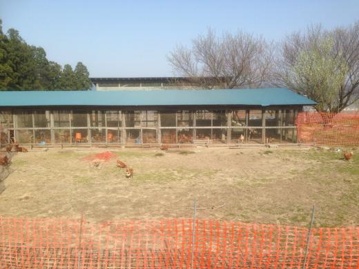 お次は菅野農園‼︎/