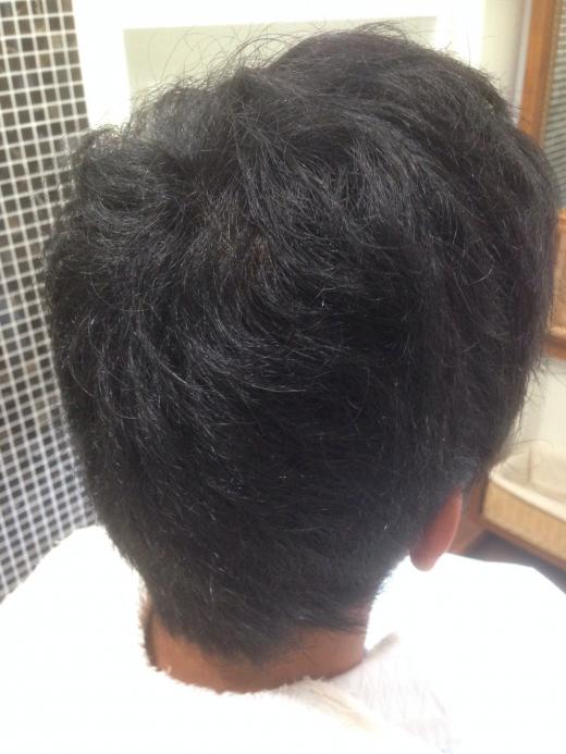 後ろ側からはこんな感じ(ビフォー)/