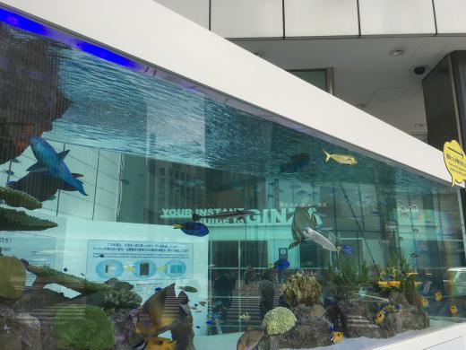 ソニースクエアでは/