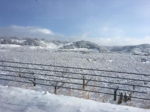 帰りはまた気を引き締めて!/