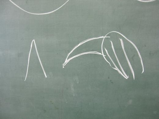 鳥のくちばし?/