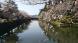 春の陽気に誘われて:2021/04/13 08:00