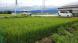 田んぼ74日目:2021/08/11 08:30