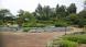 置賜公園ハーブ園:2022/06/24 05:45
