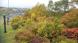 紅葉:2022/10/15 06:30