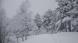 −15℃の世界:2023/02/22 21:30