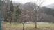天元台高原湯元の春:2023/04/11 06:40