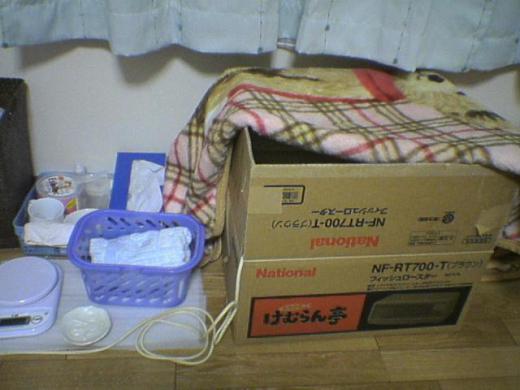 ¤µ¤Ã¤½¤¯²þ¤¡£/