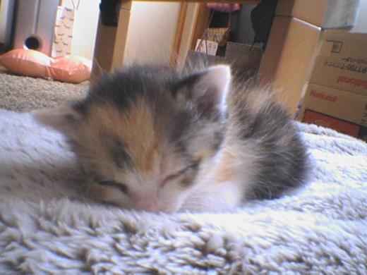 そしてそのまま・・・/