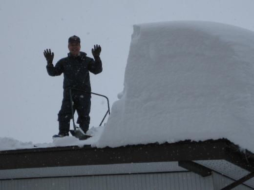 こんなところにGABELが・・・/