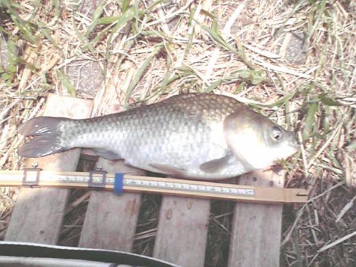 アドバイスありがとうございました!/