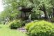 夏の匂いがした 烏帽子山公園に夏が来た:2019/06/25 14:30