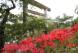 曇り空の中 赤湯小3年が烏帽子山公園の桜への施肥作業 ..:2019/10/03 16:23