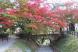 今年の紅葉は色づきが悪い気が? 烏帽子山公園に登ってみ..:2019/11/07 12:58