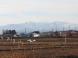 田んぼには全く雪がない 白い山を背景に新幹線が走る サ..:2020/01/12 11:18