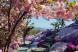 秋葉山頂の見事な芝桜園をもう少しご案内します:2020/05/09 09:00