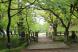 癒しの新緑 烏帽子山公園を歩いてみませんか:2020/05/12 09:00