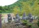 とある場所で 七福神がお出迎え 茅野輪をくぐり オオデ..:2020/06/08 09:42