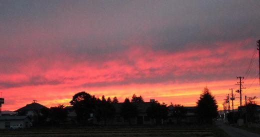 秋の夕暮れは早い そして真っ赤な夕焼けも鮮やかです 昨日夕焼けに染まった空を追いかけてカメラを肩に自転車で走りまわり撮りました 物好きと笑われそうです  /